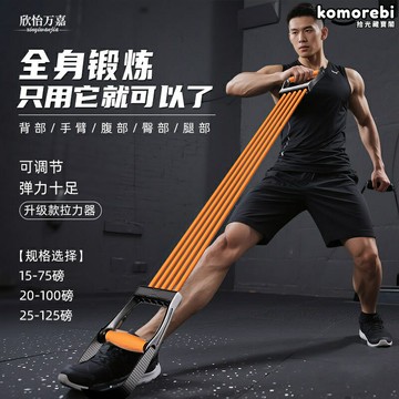 【一繩練全身】拉力器 彈力帶 拉力繩 健身器材 家用健身 力量訓練 可調節阻力 胸肌手臂背部訓練 男女通用 便攜收納
