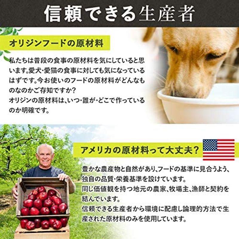 オリジン Orijen シニア 老犬用 11.4kg 並行輸入品