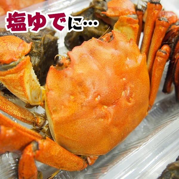 四万十川天然　ツガニ （冷凍）約500ｇ（4〜6匹）オス、メス混在 真空パック 個包装