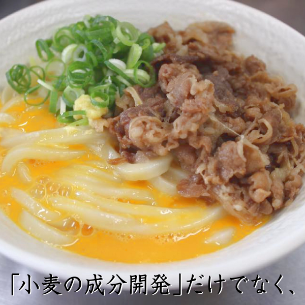 石丸製麺 半生讃岐うどん包丁切り つゆ付 260g×6個