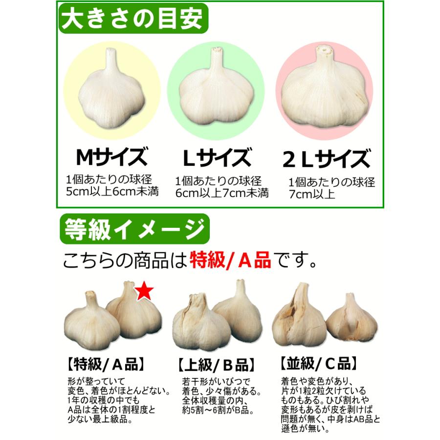 青森 にんにく 1kg 青森 Lサイズ厳選 A品 国産 ニンニク 1キロ ネット詰め 中国産と比べて