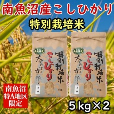 特別栽培米「南魚沼産コシヒカリ」（玄米）【5kg×2袋】