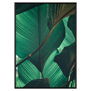 菠蘿選畫所 夏日翡翠III 掛畫 BFLE3414B  40 x 30cm  黑色外框