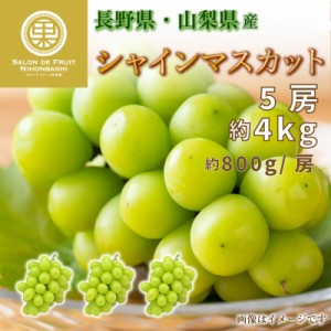 [最短順次発送]   シャインマスカット 5房 約4kg 特大 長野県 約800g x 山梨県産 マスカット ぶどう 高糖度 ギフト 贈答用 通販  夏ギ