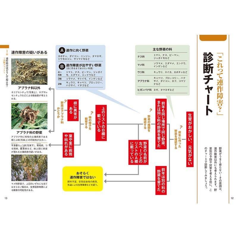 連作でよく育つ野菜づくり 狭い畑で病害虫を防ぎ品質・収量アップ