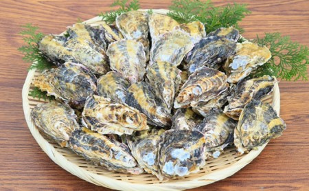 定期便旬の牡蠣を食べ比べ！大粒特選 姫路産 剥き真牡蠣（加熱用）約1.5kg／カキ かき 貝類 兵庫県 特産品 1年牡蠣