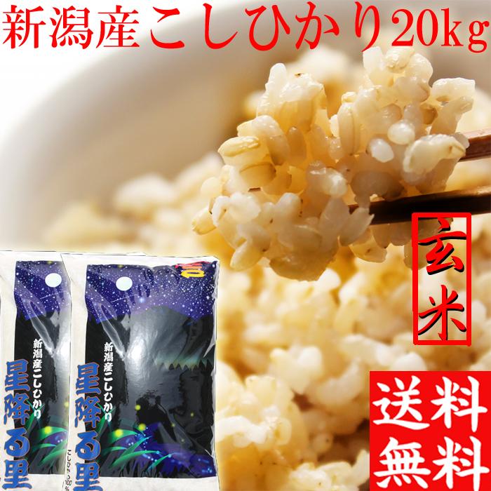 新米 令和5年 新潟産 コシヒカリ 玄米 20kg 送料無料 米 玄米20kg 10kg×2袋 新潟米 農家直送 こしひかり ２０キロ 玄米