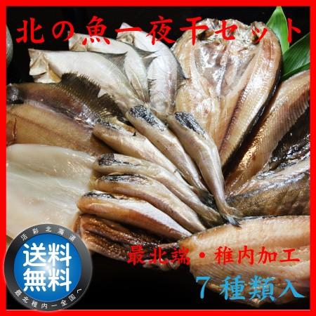 干物 一夜干し 詰合せ 送料無料 ギフト 贈り物 真空 海産物 北の魚 一夜干し セット