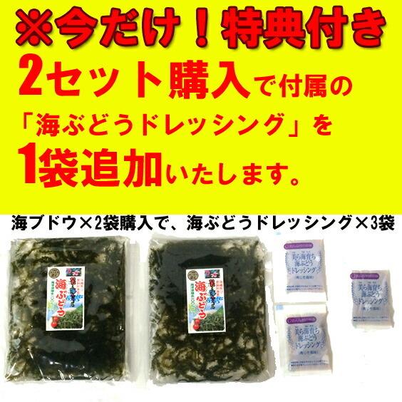 海ぶどう 沖縄産 100g 天皇杯受賞(クビレヅタ：海水入り海ブドウ) うみぶどう 専用タレ付  送料無料