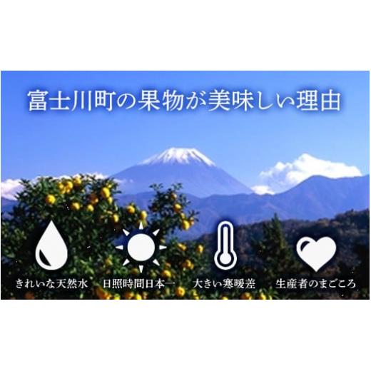 ふるさと納税 山梨県 富士川町 富士川町産シャインマスカット３房（2kg前後） 大粒 産地直送 フルーツ ブドウ ぶどう 先行予約 山梨