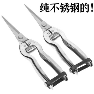 【店鋪熱銷】臺灣不銹鋼稀果剪水果園藝家用花椒剪摘花摘果剪葡萄剪花枝剪刀 WUEO