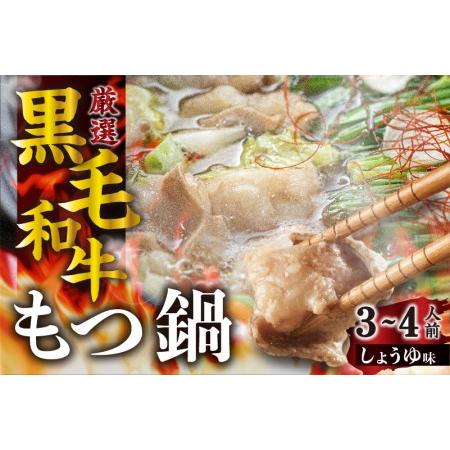 ふるさと納税 飛騨産黒毛和牛 もつ鍋セット 醤油味 3-4人前 飛米牛 牛肉 肉 鍋 なべ[Q1730]  岐阜県飛騨市