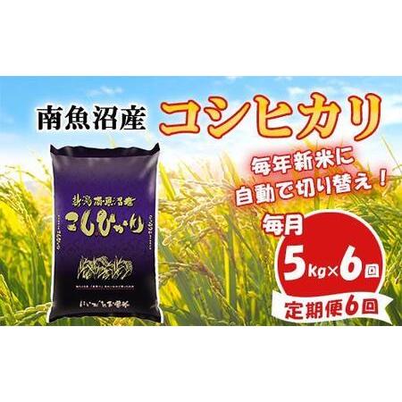 ふるさと納税 南魚沼産コシヒカリ5kg×6回 新潟県南魚沼市