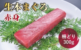 生本マグロ　赤身 250g（柵どり）