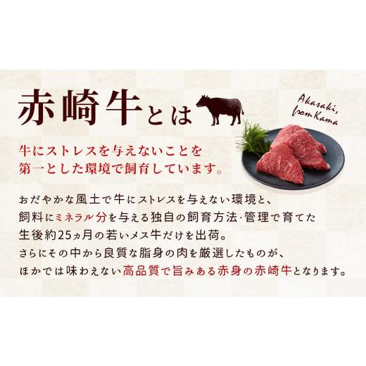 ふるさと納税 福岡県 嘉麻市 赤崎牛 約600g 牛肉