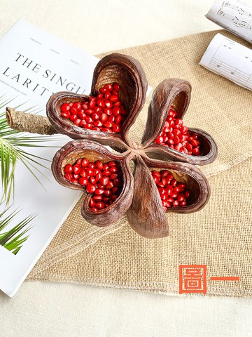 植物擺飾-心型掌葉蘋婆+相思豆/乾燥果實/快速出貨