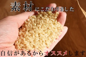 新米 ◆ 令和5年産◆ 宮城県登米産 特別栽培米 ササニシキ 玄米 10kg 送料無料 減農薬・減化学肥料 健康食 玄米食 産地直送 米 玄米 10kg