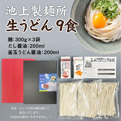 ふるさと納税 高松市 本家　池上製麺所　さぬきうどん 9食 (釜たまうどん醤油鎌田だし醤油付き)