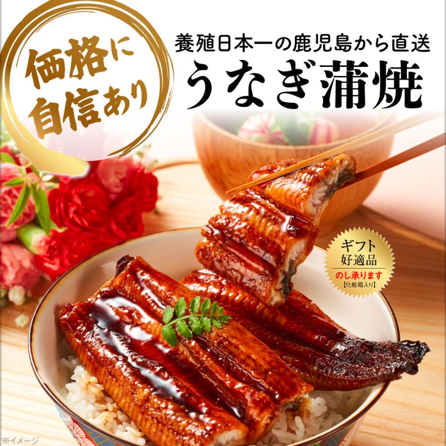 (P2倍) うなぎ 国産 鰻 蒲焼き お歳暮 大サイズ 170g 4尾 御歳暮 ギフト プレゼント 鹿児島 冷凍 ウナギ 蒲焼 セット 送料無料 unagi お取り寄せ 丑の日