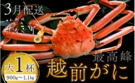 ＜3月発送分＞蟹好きにおすすめ！老舗カニ専門店の「越前ずわいがに」900g～1.1kg×1杯  [J-085024]