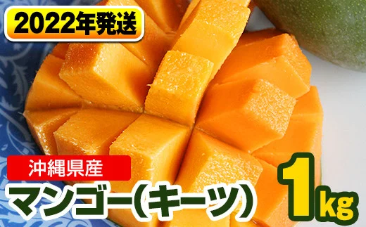 南国の果物　沖縄県産マンゴー　キーツ　1kg