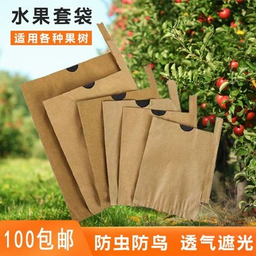 🔥臺灣出貨🔥枇杷專用套袋 芒果專用套袋 水果套袋專用紙袋 果袋枇杷袋芒果套袋子枇杷袋子 防水防曬 水果套袋 防蟲防鳥