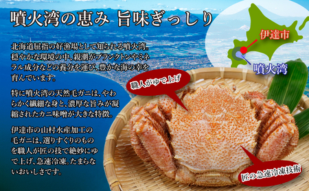 北海道産 ボイル 毛蟹 2杯 約1kg 蟹 カニ かに 毛ガニ 毛がに 噴火湾 魚介類 海の幸 海鮮 天然 職人 蟹味噌 丸ごと 蟹肉 蟹姿 産地直送 お取り寄せ 山村水産 送料無料