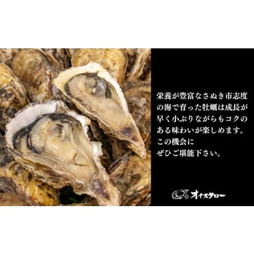 ふるさと納税 香川県 さぬき市 殻付き牡蠣 2kg（加熱用）