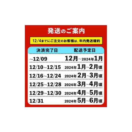 ふるさと納税 鹿児島県 大崎町 鹿児島県産うなぎ長蒲焼4尾