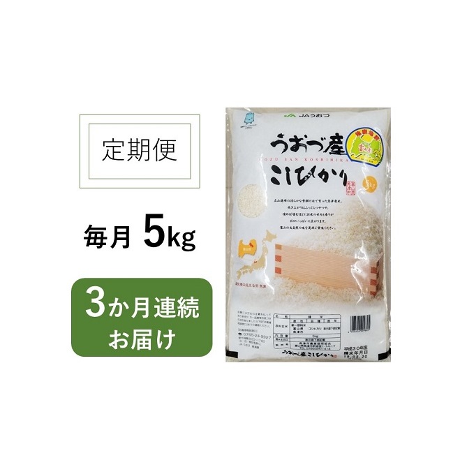 5kg×3ヶ月定期便 富山県うおづ産米コシヒカリ 白米 富山米