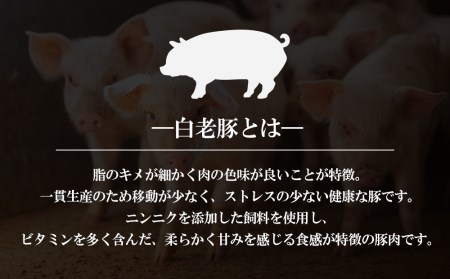 北海道産 白老豚 肩ロース ブロック 500g×2パック