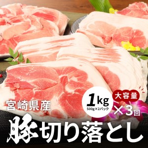 牛肉＆豚肉切り落としセット K16_T004_2