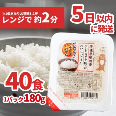 ふるさと納税 境町 境町産こしひかり使用 低温製法米パックライス 180g×40個