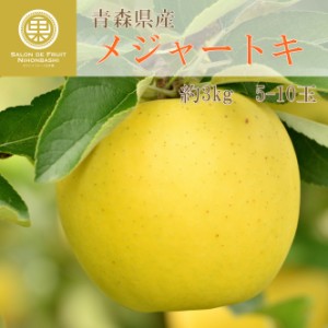 [予約 10月1日～初荷分より順次発送] メジャートキ 5玉-10玉 約3kg 化粧箱 りんご 青森県産 林檎 ギフト 糖度15度以上