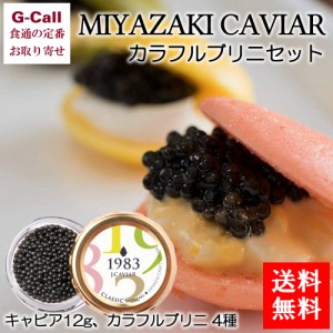 ジャパンキャビア MIYAZAKI CAVIAR 1983 キャビア12g カラフルブリニ4種 送料無料