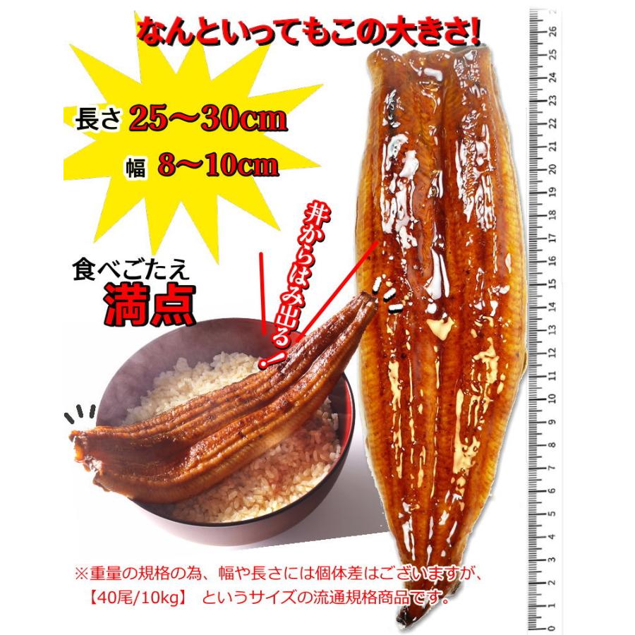 うなぎ 蒲焼き　250gの特大サイズ  ウナギ うなぎ ギフト　２尾購入で１尾おまけ付き　送料無料・うなぎ蒲焼・