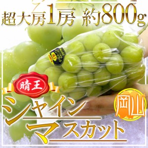 岡山産 ”シャインマスカット「晴王」” 超大房1房 約800g以上 ぶどう