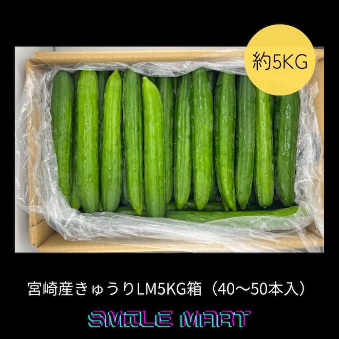 宮崎産きゅうり約5kg