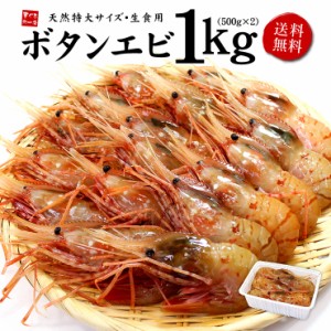 送料無料 超特大ボタンエビ1kg（18～24尾）お刺身OK（お歳暮 お年賀 ギフト）yd5[[ぼたんエビ500g-2p]