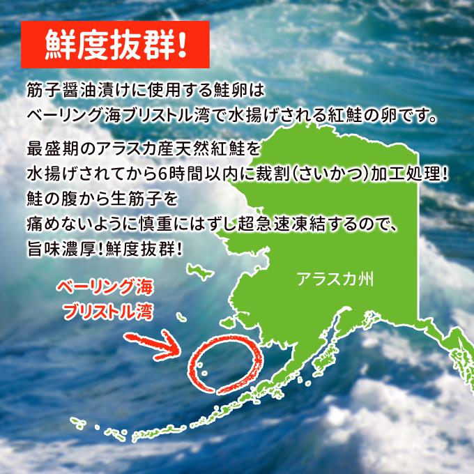 紅鮭筋子醤油漬け 500g 送料無料 お取り寄せグルメ