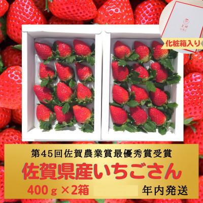 ふるさと納税 江北町 王様のいちご400g×2箱 計約800g