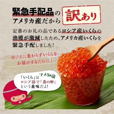 ふるさと納税 白糠町 サーモンいくら丼  鮭いくら醤油漬け (400g) × 「エンペラーサーモン (900g)