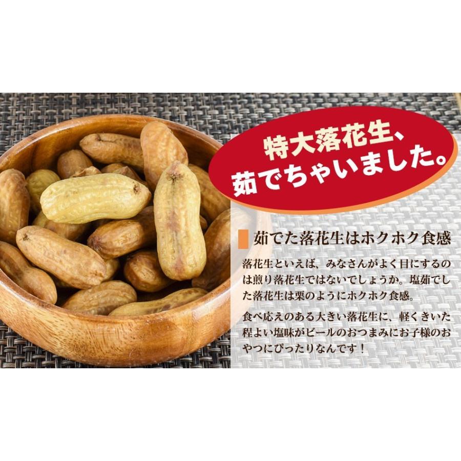 新豆 ゆで落花生 千葉県 おおまさり 殻つき 160g×2パック 国産 プレゼント