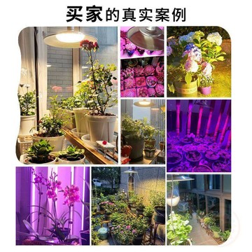 💖人氣熱賣💖全光譜led植物生長  燈  補光  燈  仿太陽光多肉草莓火龍果大棚蔬菜花卉