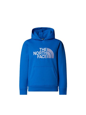 the north face sweatshirt with logo