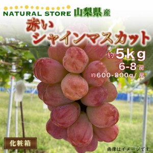 [最短順次発送]  赤い シャインマスカット 約5kg 6-8房 約600-800g 1房 山梨県夏ギフト 夏ギフト お中元 御中元