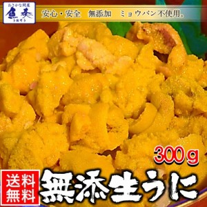 ミョウバン不使用 冷凍 生うに 300g 100g×3パック チリ産 AAグレード 無添加 安心・安全 雲丹 ウニ うに丼 送料無料 ギフト 在宅