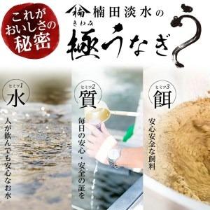 ふるさと納税 a5-090 楠田の極うなぎ 白焼き 110g以上×3尾(計330g以上) 鹿児島県志布志市