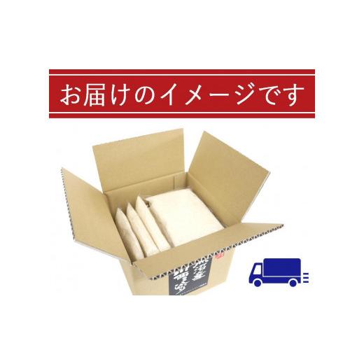 ふるさと納税 新潟県 十日町市 無洗米　魚沼産こしひかり2合×10袋　新潟県認証特別栽培米　令和５年度米