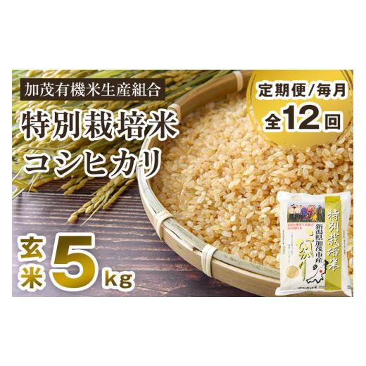 ふるさと納税 新潟県 加茂市 新潟県加茂市産 特別栽培米コシヒカリ 玄米5kg 従来品種コシヒカリ 加茂有機米生産組合